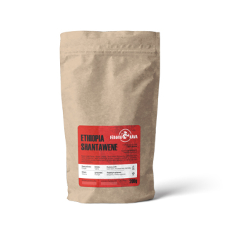 Ethiopia Shantawene